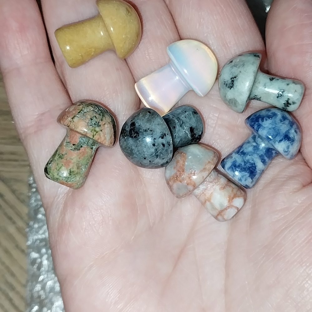 Mini Polished Gemstone Mushroom Carvings - Multicolor